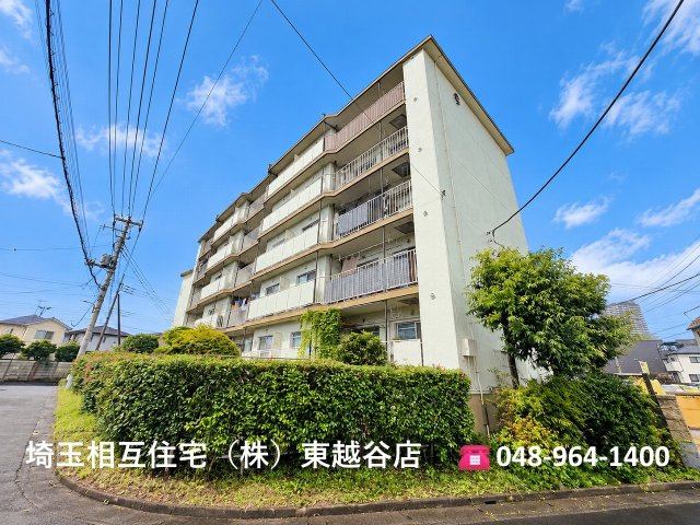 外観：311002500213