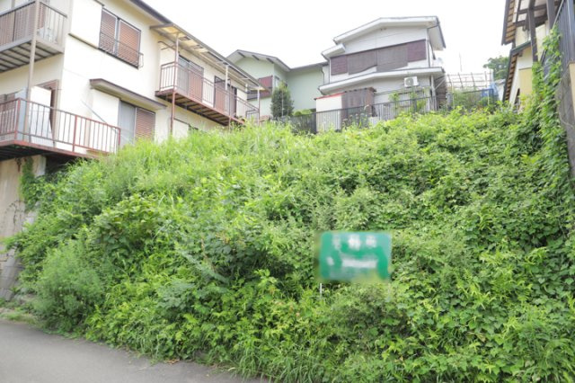 外観：313004302968