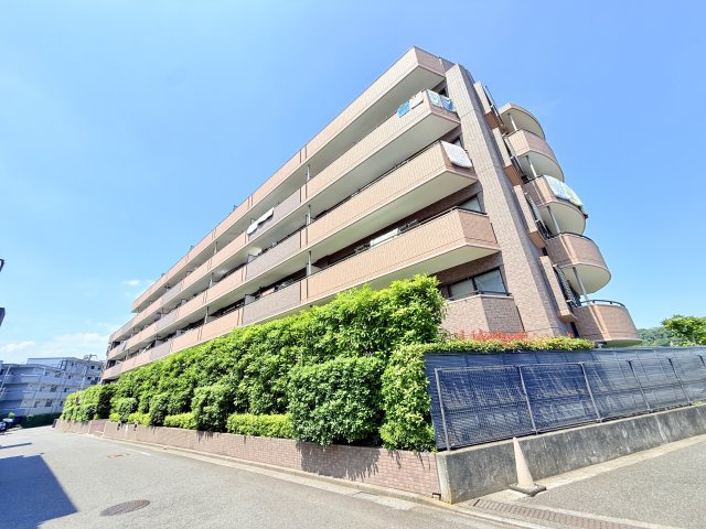 外観：313004671641