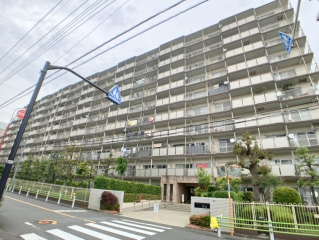 外観：313004625121