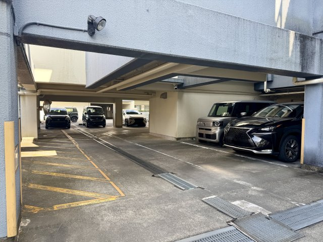 こちらは駐車場になります。