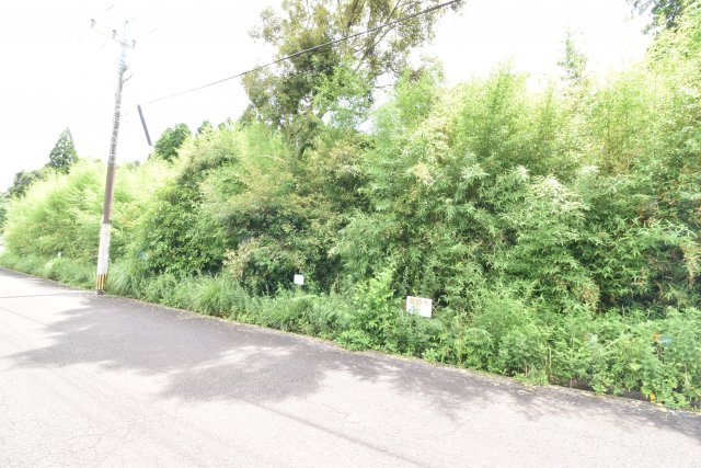 外観：346000037887