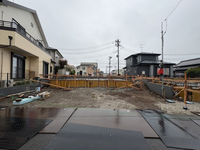 2026年6月下旬撮影