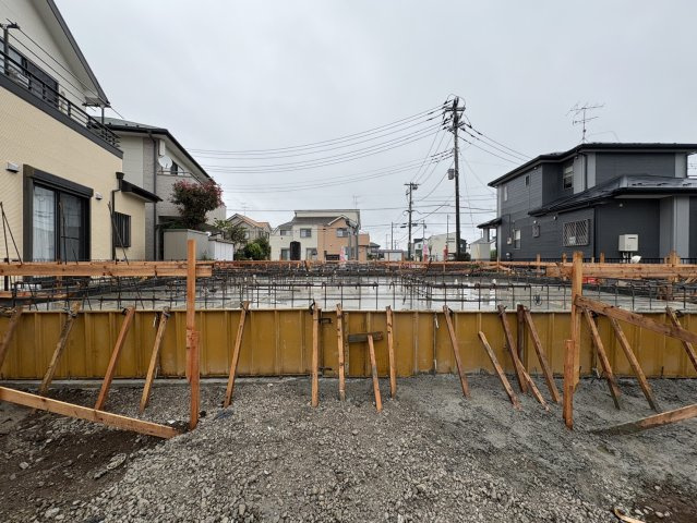 2026年6月下旬撮影