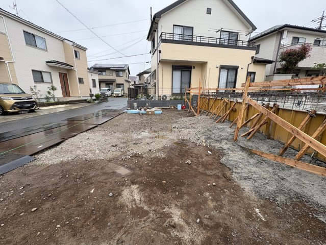 2026年6月下旬撮影