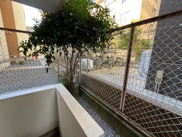 庭