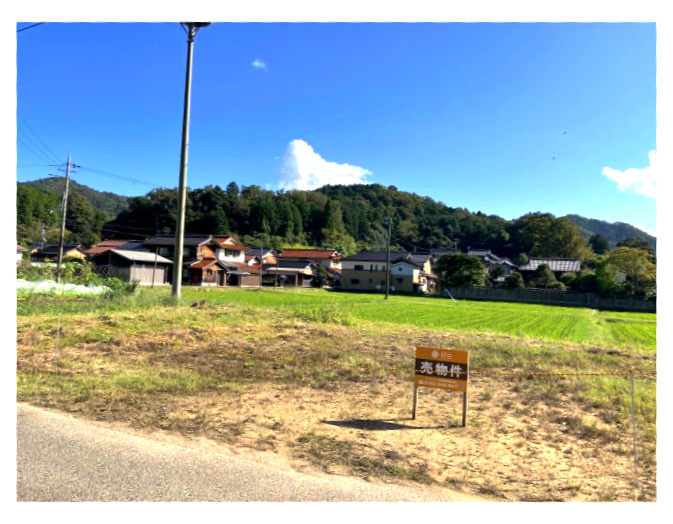 すぐ横にこうのとりの人口巣塔があります。