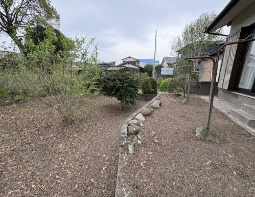 庭