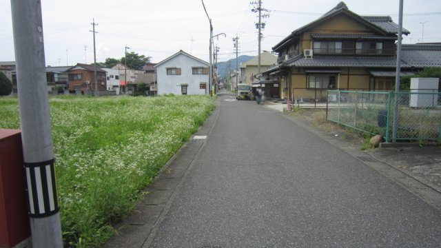 東側道路　北方向