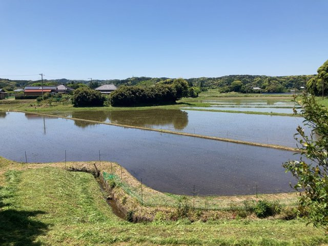 目の前に広がる田園風景
