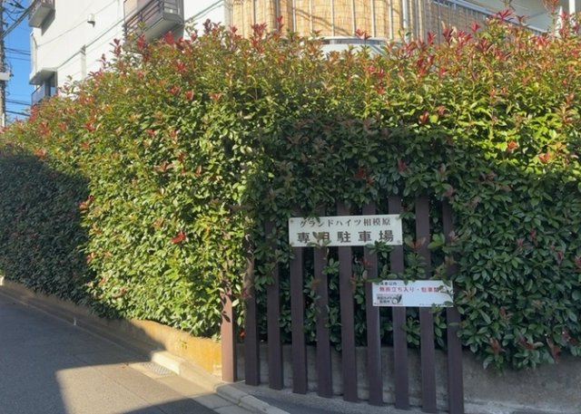 物件によっては、入居者が個人的に使用できる専用庭がついているものもあります。また、住宅の中にある土間の部分を庭と呼ぶこともあります。庭の用途は住む人によって変わり、それによってデザインもさまざまです。