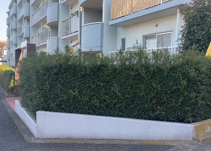 中庭（パティオ）とは、一つの建築物の内部に設けられた、壁などで囲われている庭のことを指します。コの字型、ロの字型が主流ですが、L字型の中庭もあります。最近では、インテリア性の高さからも人気があります。