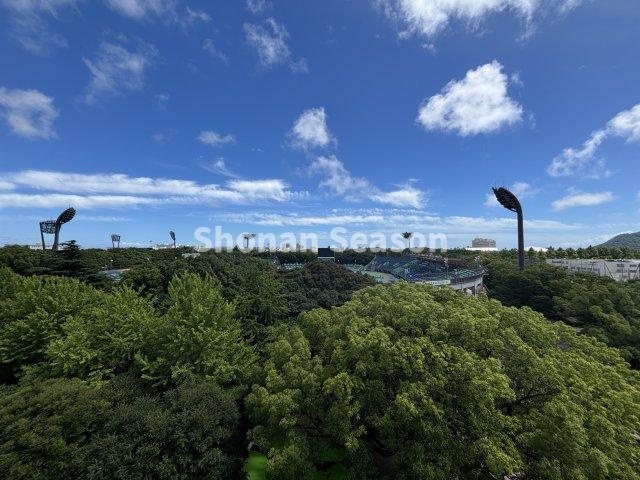 広大で自然豊かな「平塚総合公園」が目の前に広がり、眺望良好です◎　　毎日の生活も、この開放感を感じれば気分が上がりますね☆