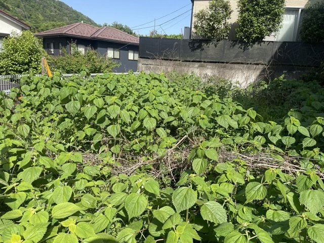 家を建てる前提で土地を探している場合、地盤の丈夫さは譲れない条件の一つです。地盤が脆弱だと追加工事が必要となります。また、過去に地盤沈下や液状化現象を起こした土地は、できるだけ避けた方がいいでしょう。