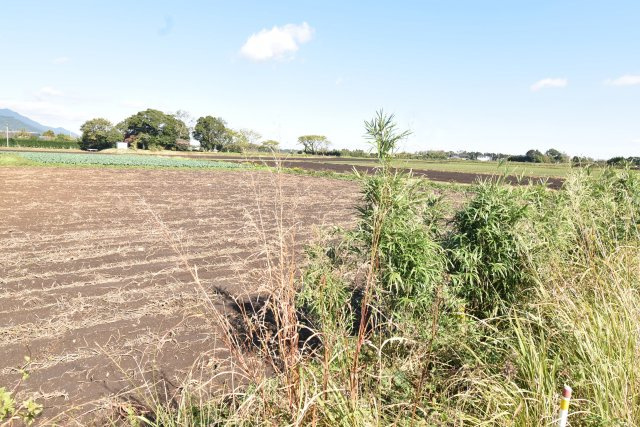 外観：346000012096