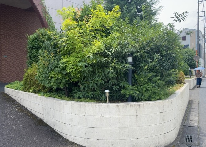 物件によっては、入居者が個人的に使用できる専用庭がついているものもあります。また、住宅の中にある土間の部分を庭と呼ぶこともあります。庭の用途は住む人によって変わり、それによってデザインもさまざまです。