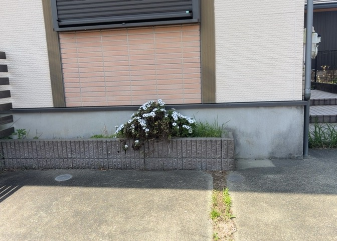 建物の基礎工事の方法は、主流となっているベタ基礎（防湿基礎）と布基礎の2種類に分類され、床下の通気性や耐久性などに違いがあります。建物の基礎部分の構造や付帯設備など詳細については現地でご確認ください。
