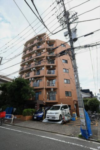 外観：313004761964