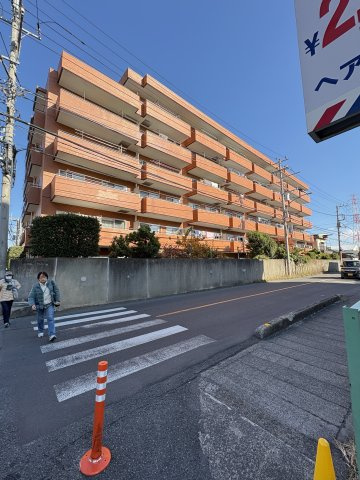 外観：311002425883