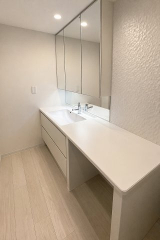 洗面化粧台は3面鏡、豊富な収納力、広いカウンター付です