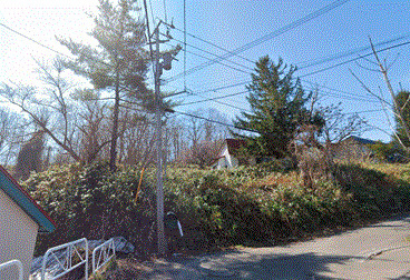 外観：301000102836