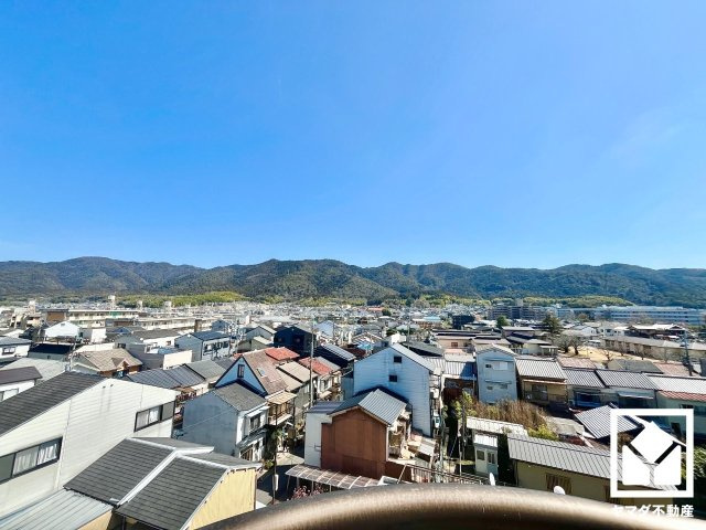展望
