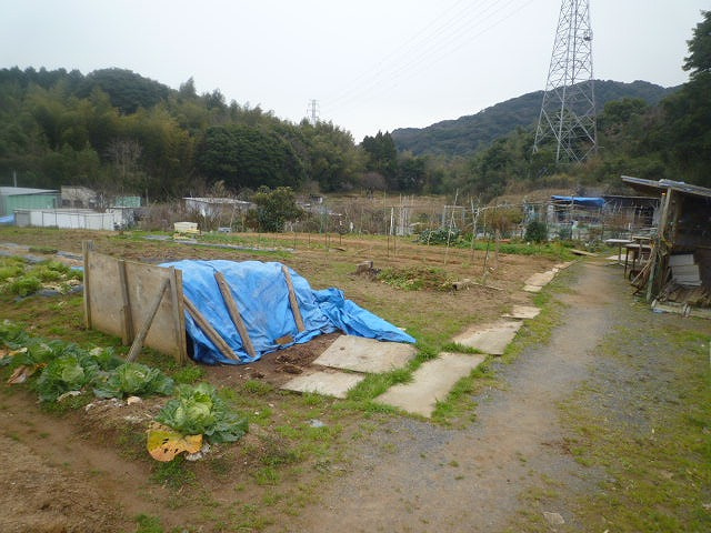 外観：340000282833