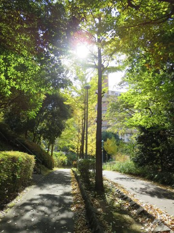敷地内を網羅する緑溢れる遊歩道