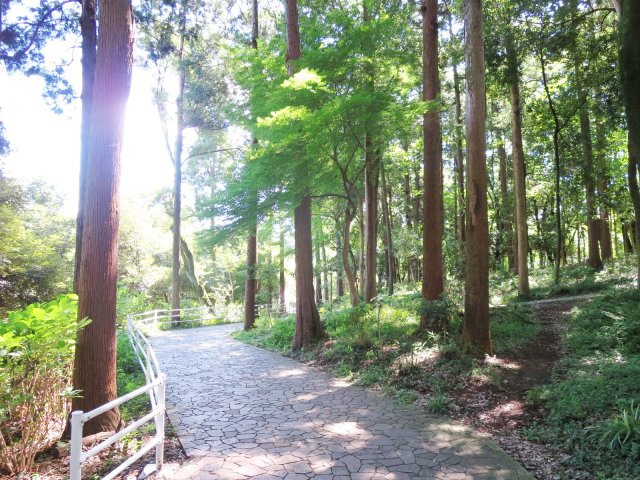 小学校へ繋がる遊歩道
