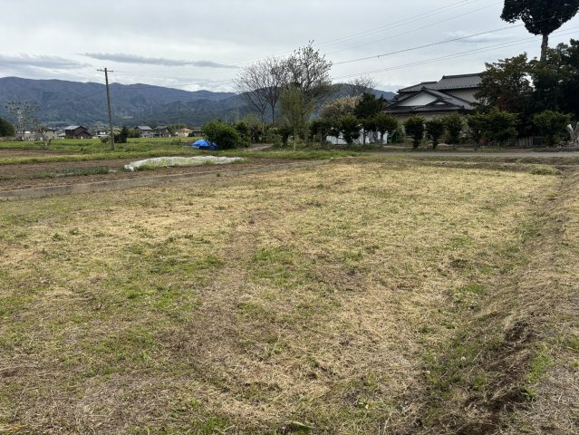 南側から撮影