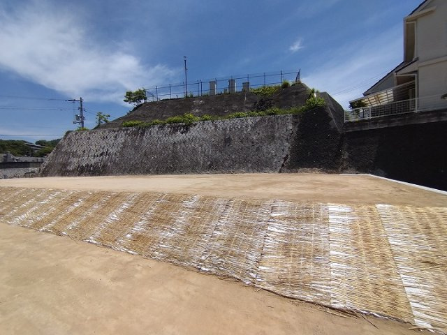 外観：334000252069
