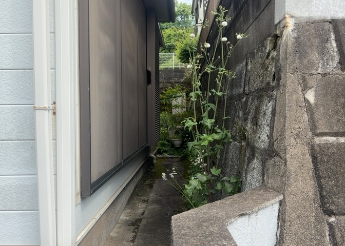 家を建てる前提で土地を探している場合、地盤の丈夫さは譲れない条件の一つです。地盤が脆弱だと追加工事が必要となります。また、過去に地盤沈下や液状化現象を起こした土地は、できるだけ避けた方がいいでしょう。