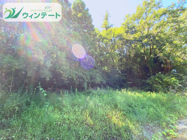 二つ合わせて838？あります♪