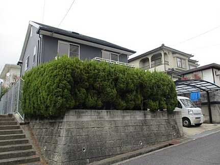 外観：334000233973