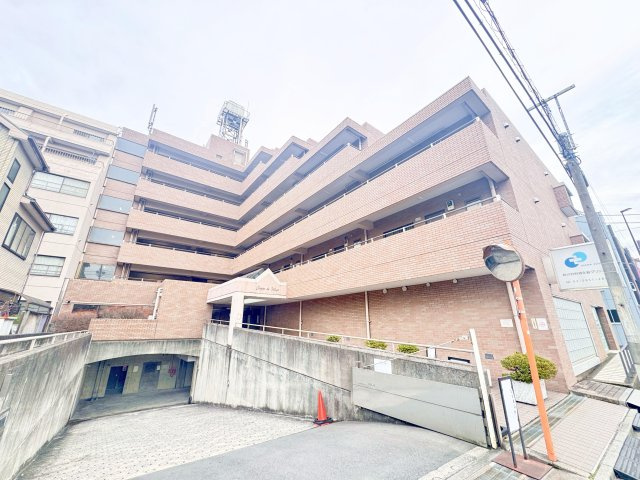 外観：313004688464