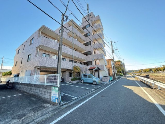 外観：313004487807