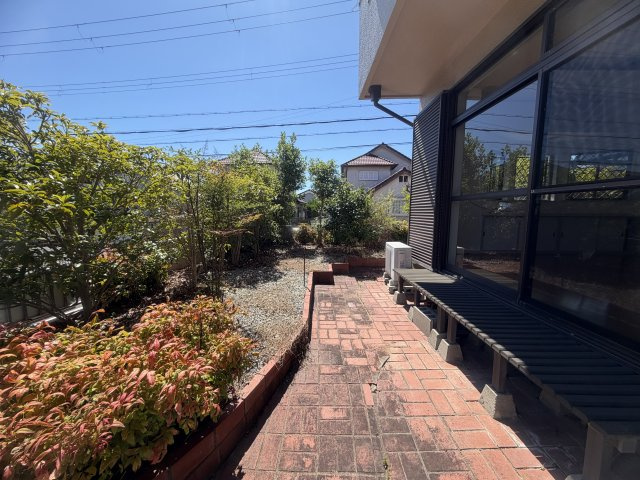 庭
