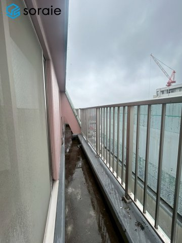 2026/5/21撮影