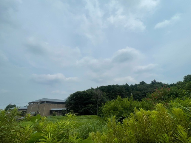 展望