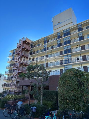 外観：313004540805