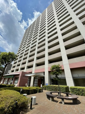 外観：313004671934