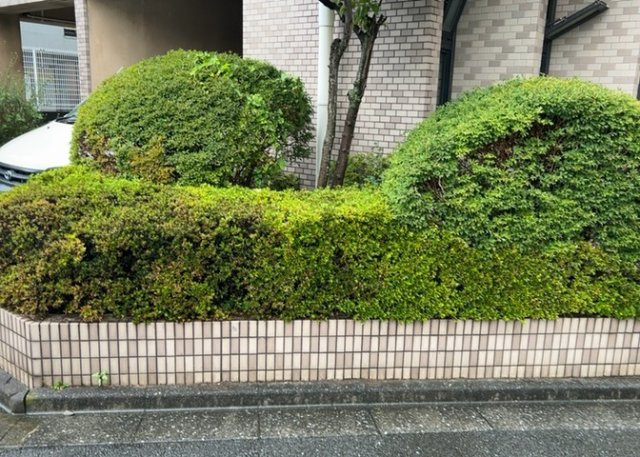 中庭（パティオ）とは、一つの建築物の内部に設けられた、壁などで囲われている庭のことを指します。コの字型、ロの字型が主流ですが、L字型の中庭もあります。最近では、インテリア性の高さからも人気があります。