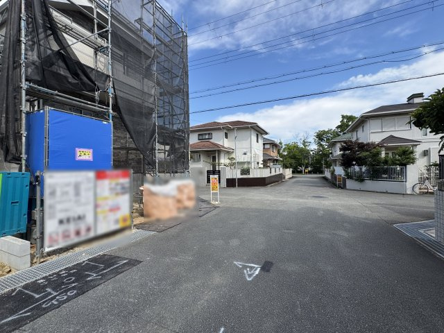 2026年7月3日撮影