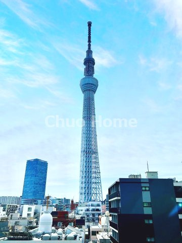 スカイツリーを目の前に望む