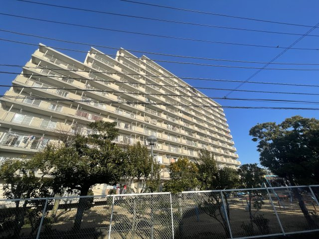 外観：312001194693