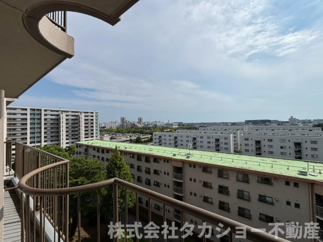 展望