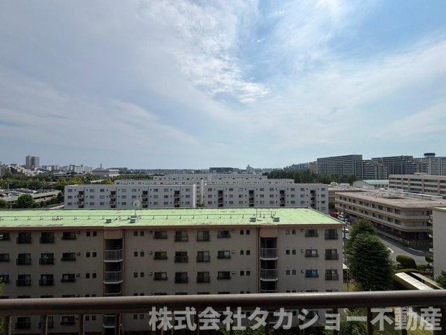 展望