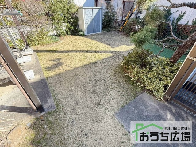 庭