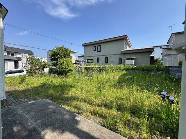 リビング側から庭の景色。