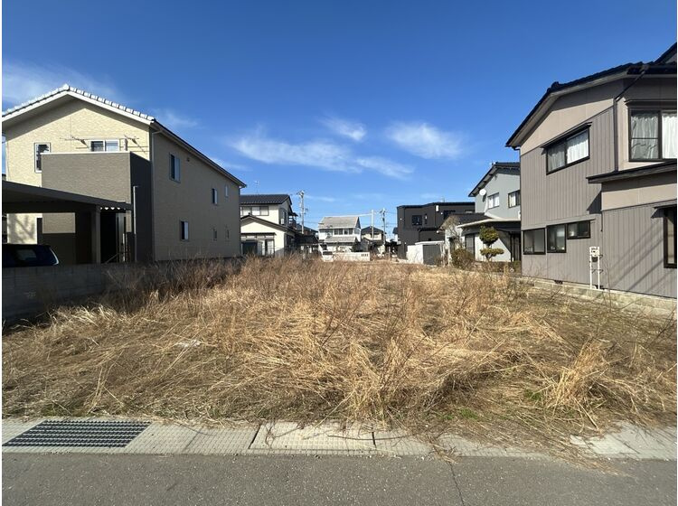 外観：317000009427